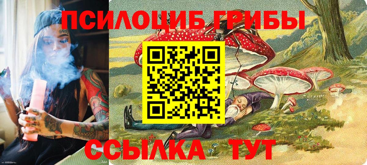 Псилоцибиновые грибы MAGIC MUSHROOMS Каменск-Уральский