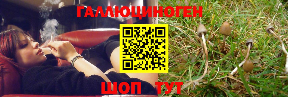 Псилоцибиновые грибы Magic Shrooms  Вход с VPN  закладка  Каменск-Уральский 